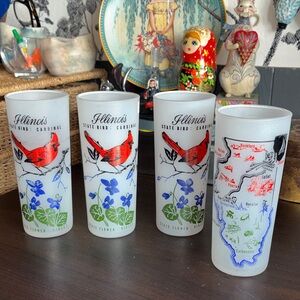 VINTAGE Illinois souvenir set of 4tumblers are frosted drinking glasses from the
